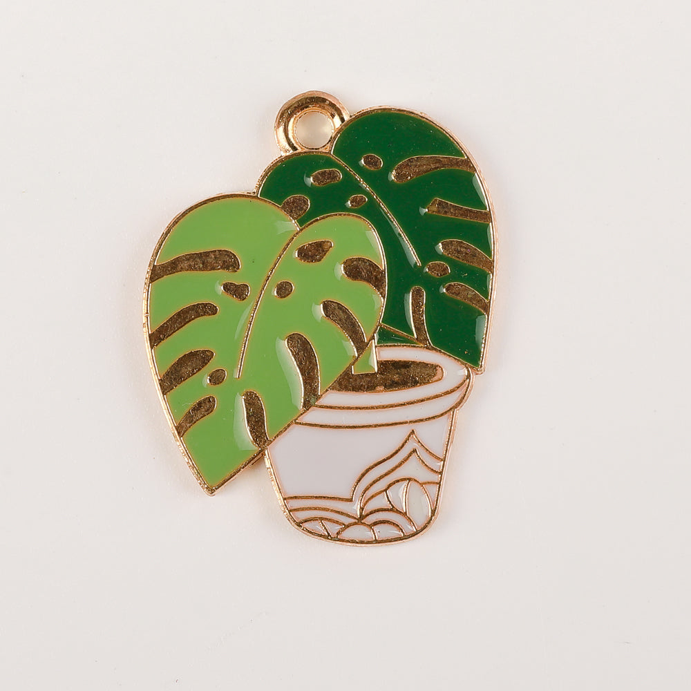 Plant Lover Collection