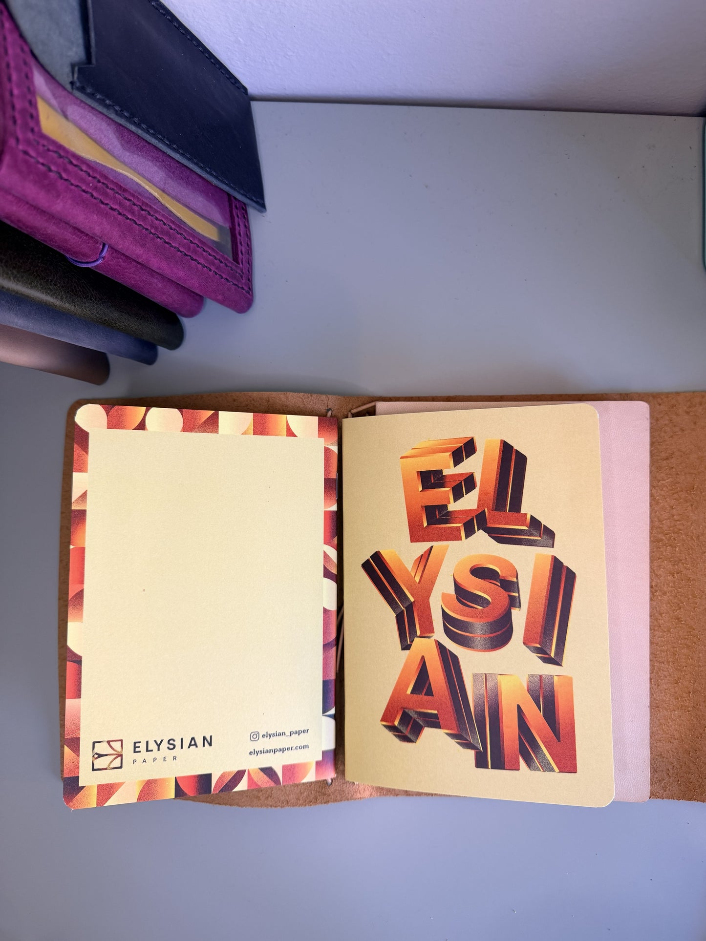 Cartera TN Passport tamaño "Armonia" lisa